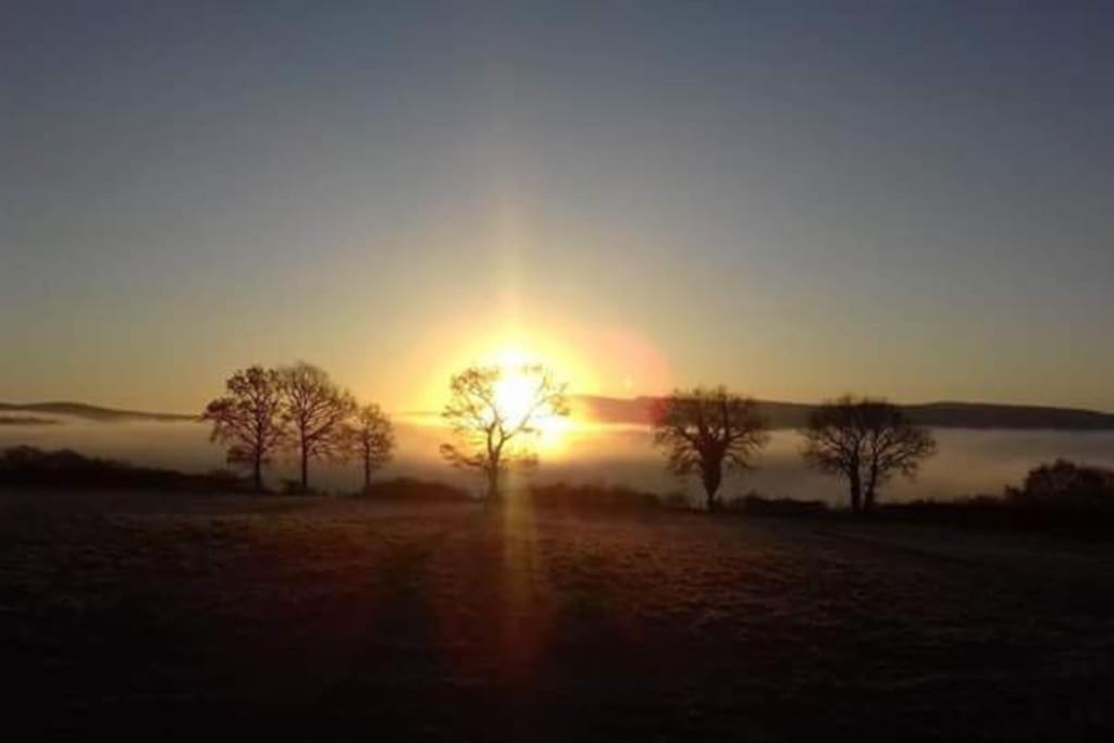 Perfect Cottage Retreat Near The Brecon Beacons Llanwrda المظهر الخارجي الصورة