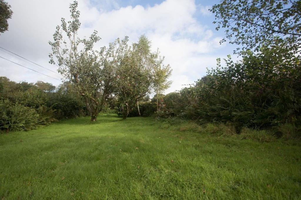 Perfect Cottage Retreat Near The Brecon Beacons Llanwrda المظهر الخارجي الصورة
